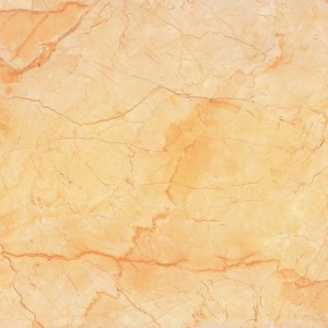 Gạch lát sàn Trường Thịnh TT96013